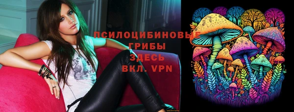mix Снежногорск