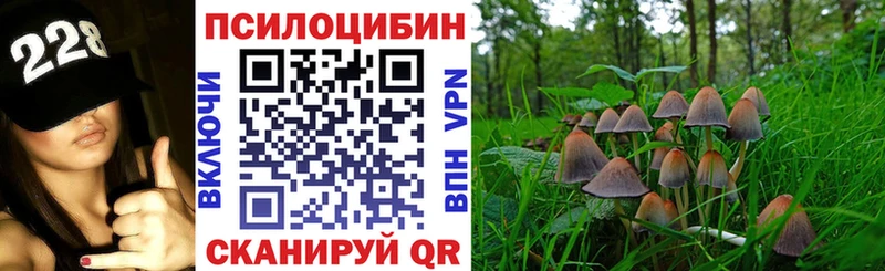 Галлюциногенные грибы мухоморы  Кропоткин 